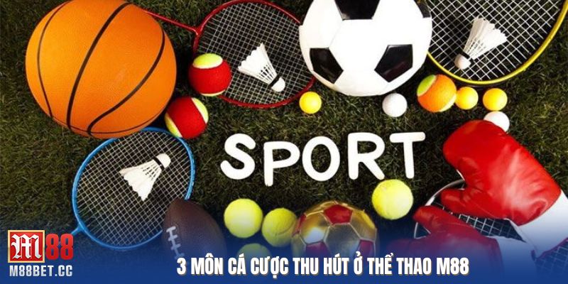 3 môn cá cược thu hút ở thể thao M88