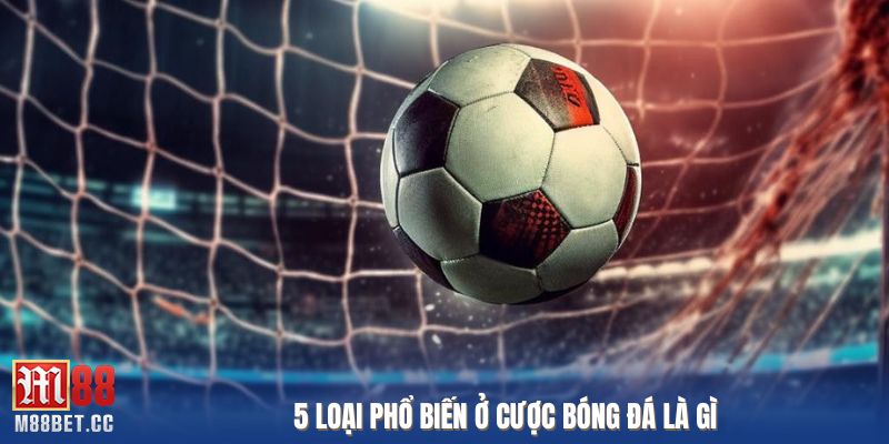 5 loại phổ biến ở cược bóng đá là gì