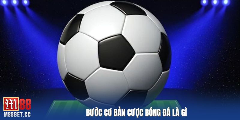 Bước cơ bản cược bóng đá là gì