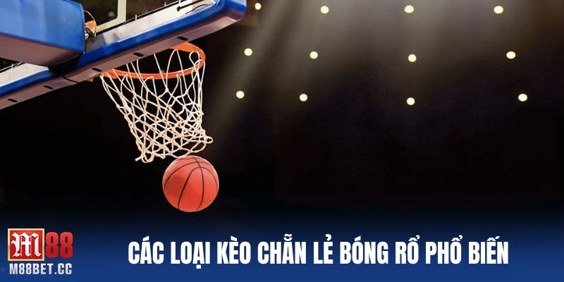Các loại kèo chẵn lẻ bóng rổ phổ biến
