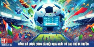 cách cá cược bóng đá hiệu quả nhất