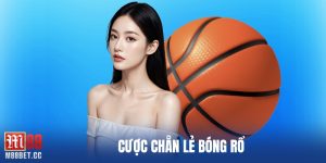 cược chẵn lẻ bóng rổ