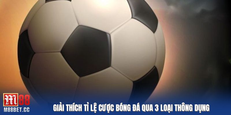Giải thích tỉ lệ cược bóng đá qua 3 loại thông dụng