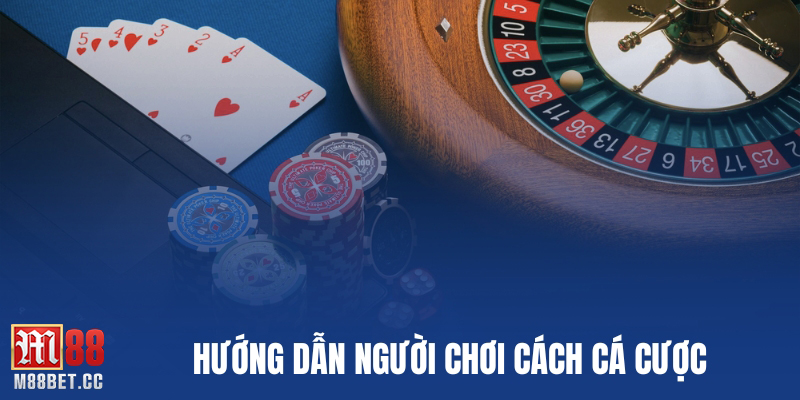 Hướng dẫn người chơi cách cá cược