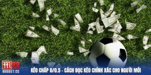 kèo chấp 0/0.5