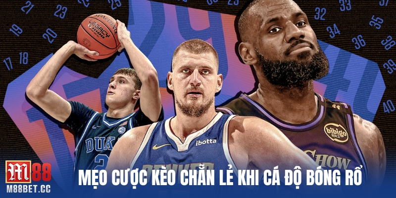 Mẹo cược kèo chẵn lẻ khi cá độ bóng rổ