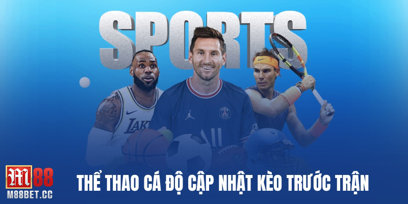 Thể thao cá độ cập nhật kèo trước trận