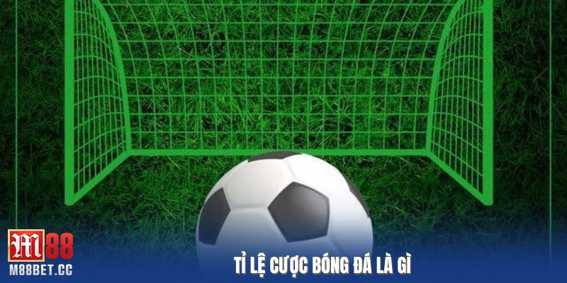 Tỉ lệ cược bóng đá là gì