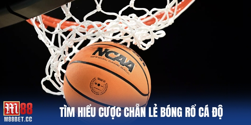 Tìm hiểu cược chẵn lẻ bóng rổ cá độ