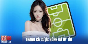 trang cá cược bóng đá uy tín