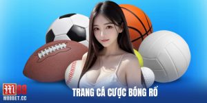 trang cá cược bóng rổ