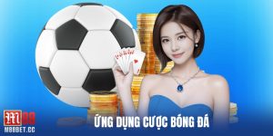 ứng dụng cược bóng đá
