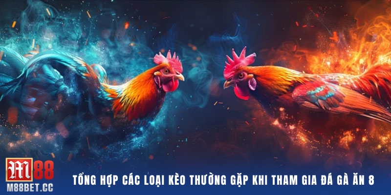 Tổng hợp các loại kèo thường gặp khi tham gia đá gà ăn 8 