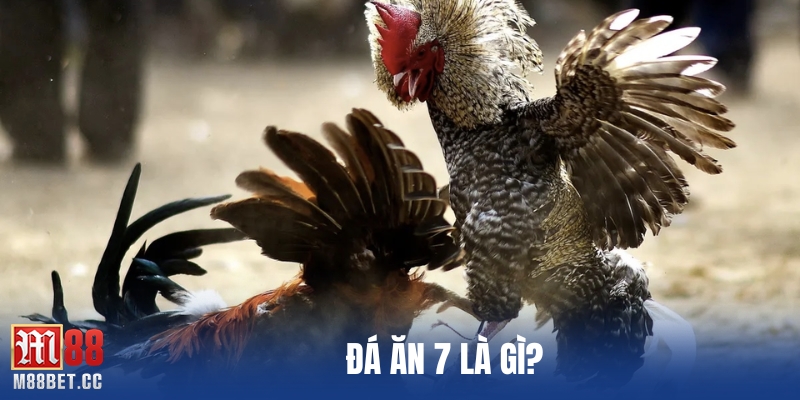 đá ăn 7 là gì