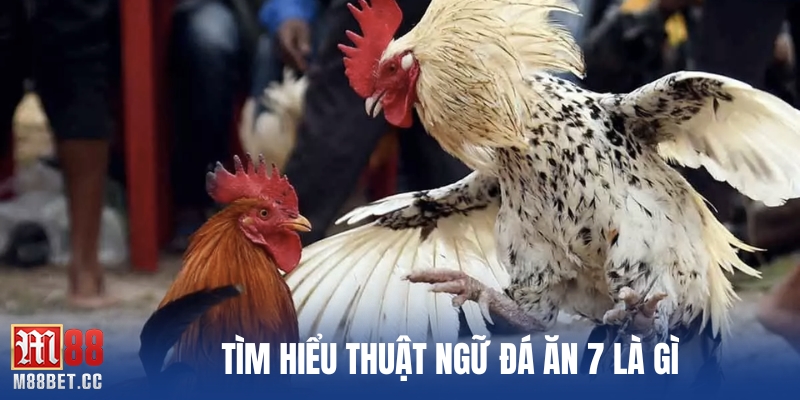 Tìm hiểu thuật ngữ đá gà ăn 7 là gì